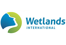 Wetlands international logo